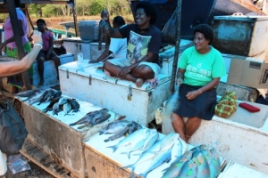 Fiji fiskehandler