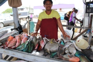Fiji fiskehandler2
