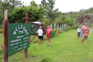 Fiji regnskogreservat