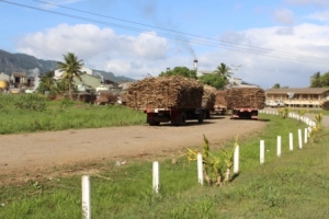 Fiji sukkerraffineri